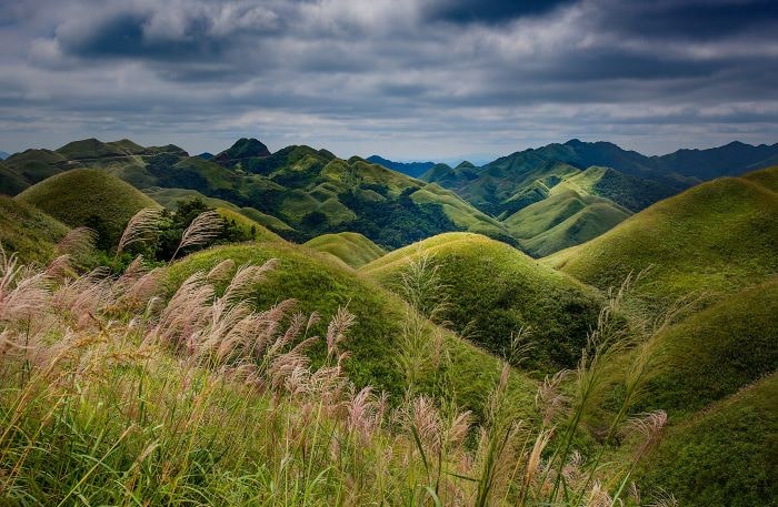 Thiên đường Bông Lau ở Bắc Xa