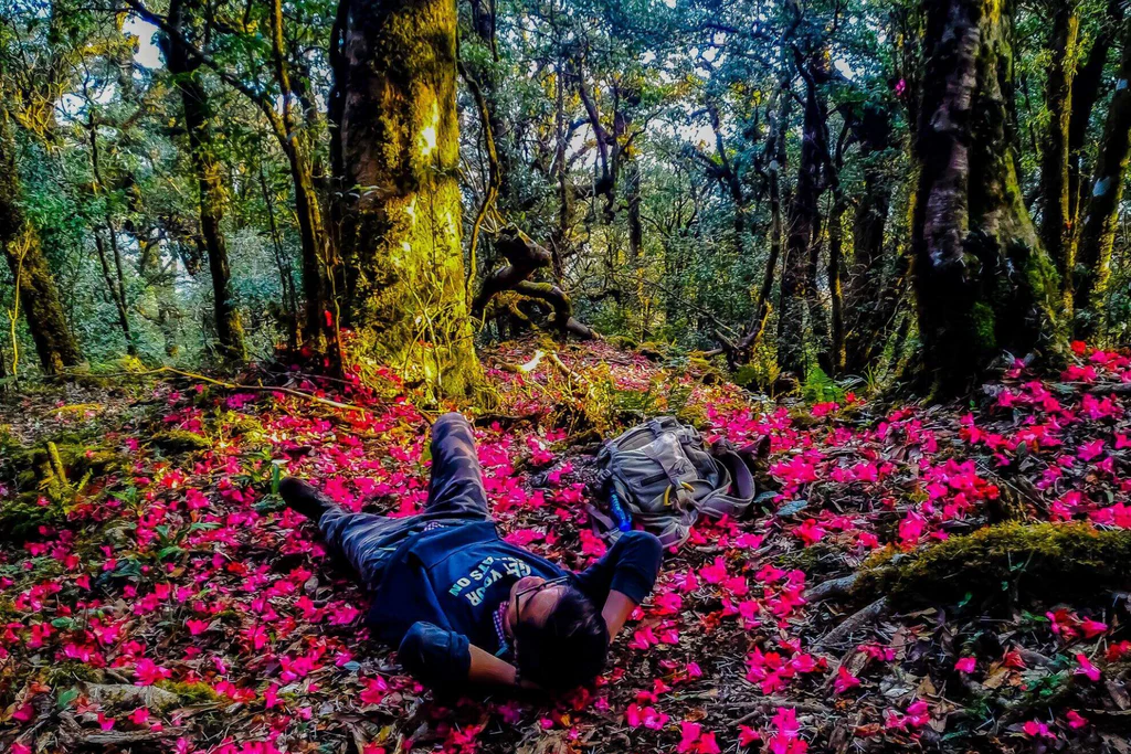 Thời điểm lý tưởng trekking Putaleng