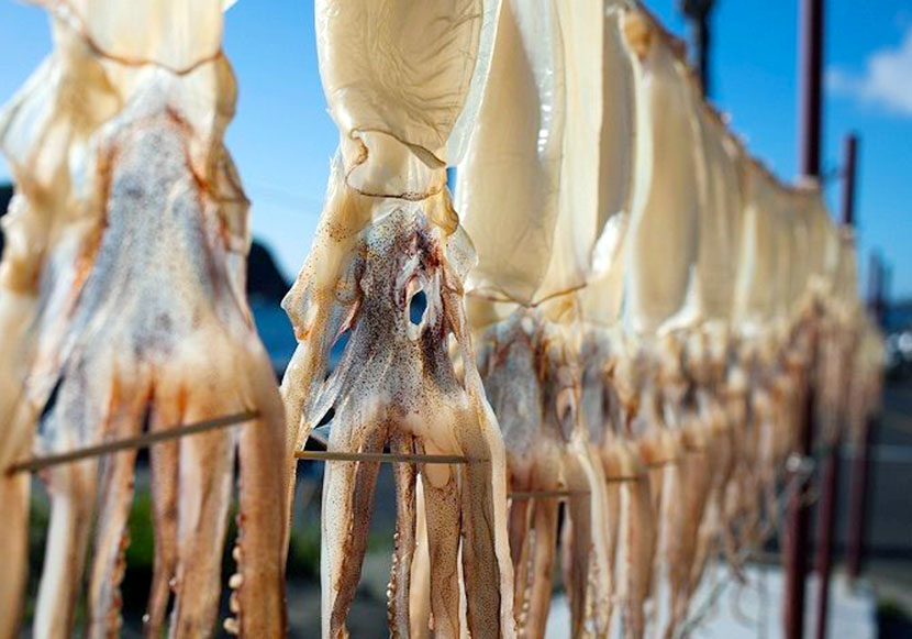 mực một nắng phan thiết